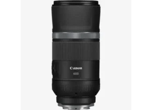 Canon RF 600mm F11 IS STM Lens