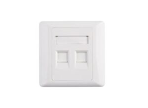 FACE-RJ-2P-550x400-1.jpg 2 Port RJ45 Cat5e Face Plate Wall Socket