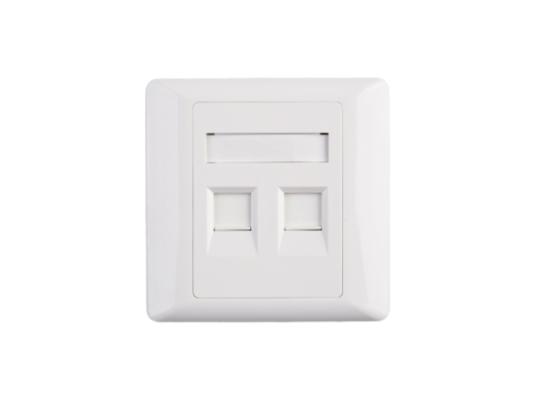 FACE-RJ-2P-550x400-1.jpg 2 Port RJ45 Cat5e Face Plate Wall Socket