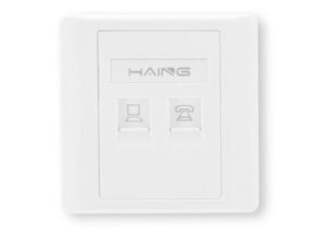 HAING HI-WP01 RJ45 Dual Port Faceplate 8.6x8.6cm with PP BAG
